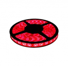 FITA VERMELHO 5M 5050 IP20 300LEDS KLFT-5050I VM